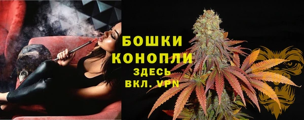 спайс Аркадак