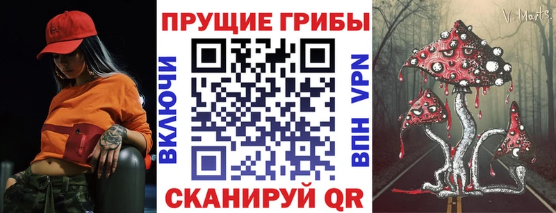 Галлюциногенные грибы GOLDEN TEACHER  Оленегорск 